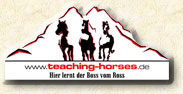 Teaching Horses