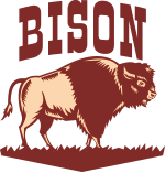 Bison